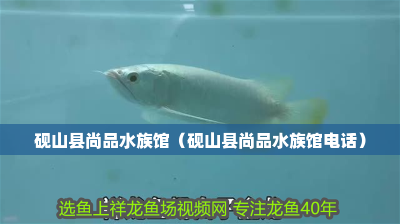 硯山縣尚品水族館（硯山縣尚品水族館電話）