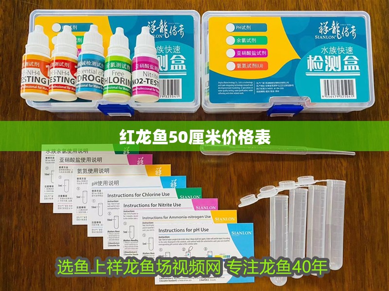 紅龍魚50厘米價格表