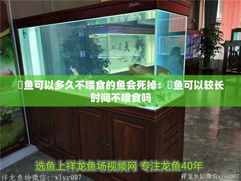 魟魚可以多久不喂食的魚會死掉：魟魚可以較長時間不喂食嗎