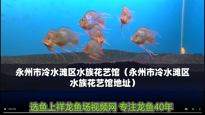 永州市冷水灘區(qū)水族花藝館（永州市冷水灘區(qū)水族花藝館地址）