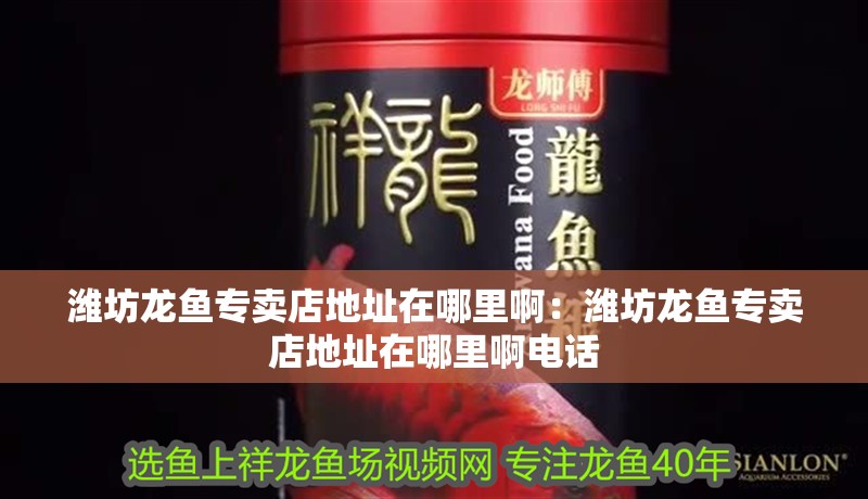 濰坊龍魚專賣店地址在哪里?。簽H坊龍魚專賣店地址在哪里啊電話