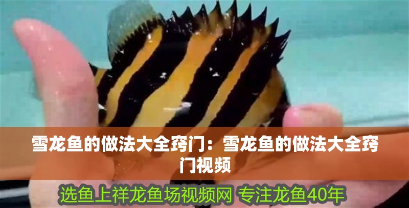雪龍魚的做法大全竅門：雪龍魚的做法大全竅門視頻