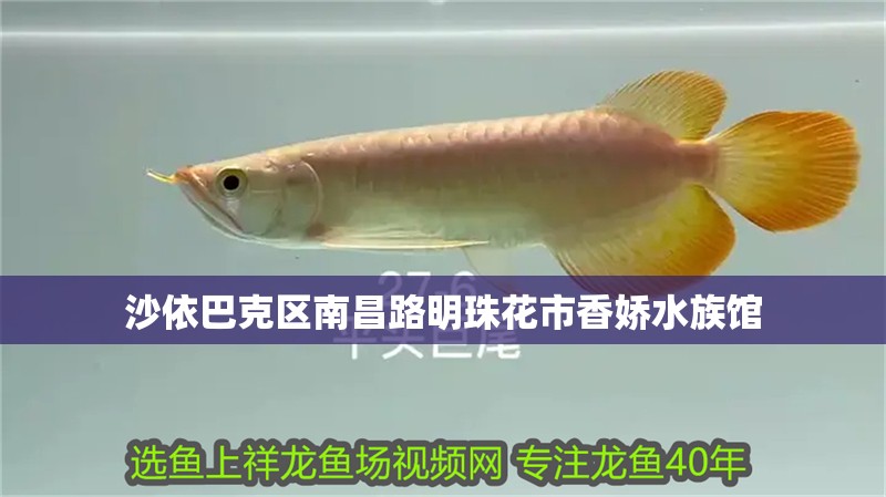 沙依巴克區南昌路明珠花市香嬌水族館 沙依巴克區南昌路明珠花市香嬌水族館 全國水族館企業名錄 第1張