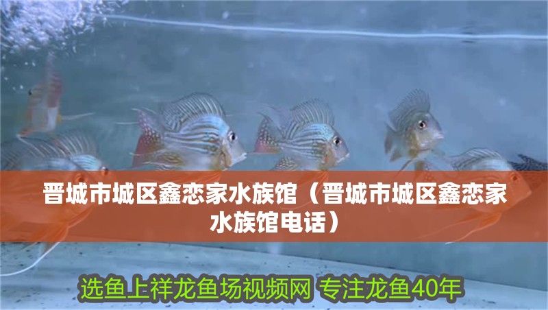 晉城市城區(qū)鑫戀家水族館（晉城市城區(qū)鑫戀家水族館電話）