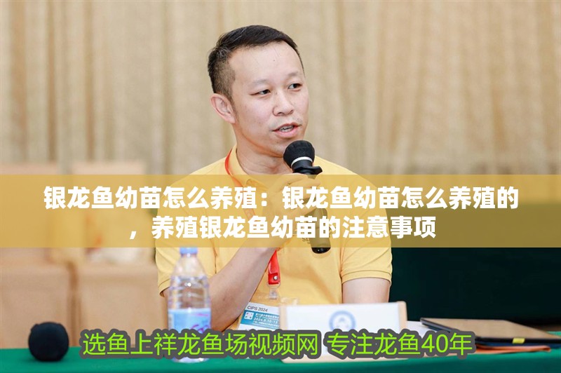 銀龍魚幼苗怎么養殖:銀龍魚幼苗怎么養殖的,養殖銀龍魚幼苗的注意事項 水族問答 銀龍魚幼苗怎么養殖:銀龍魚幼苗怎么養殖的,養殖銀龍魚幼苗的注意事項 銀龍魚幼苗怎么養殖:銀龍魚幼苗怎么養殖的,養殖銀龍魚幼苗的注意事項 水族問答