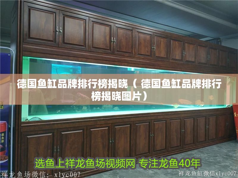德國魚缸品牌排行榜揭曉（ 德國魚缸品牌排行榜揭曉圖片）