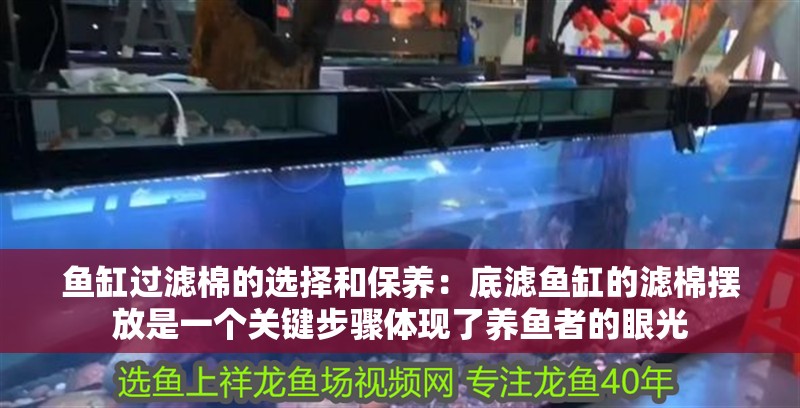 魚缸過濾棉的選擇和保養(yǎng)：底濾魚缸的濾棉擺放是一個(gè)關(guān)鍵步驟體現(xiàn)了養(yǎng)魚者的眼光