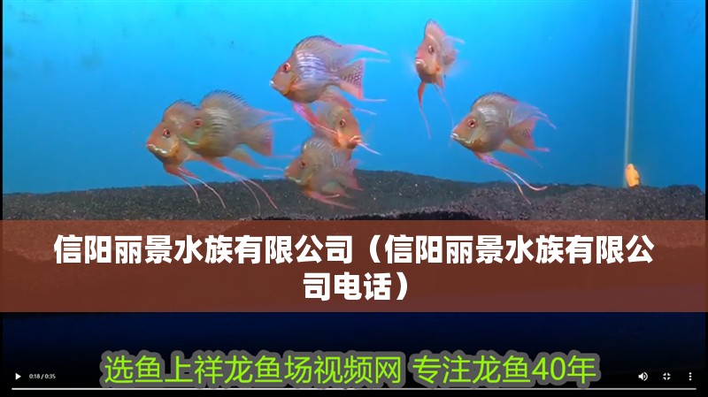 信陽麗景水族有限公司(信陽麗景水族有限公司電話) 全國水族館企業名錄 第1張 信陽麗景水族有限公司(信陽麗景水族有限公司電話) 信陽麗景水族有限公司(信陽麗景水族有限公司電話) 全國水族館企業名錄 第1張
