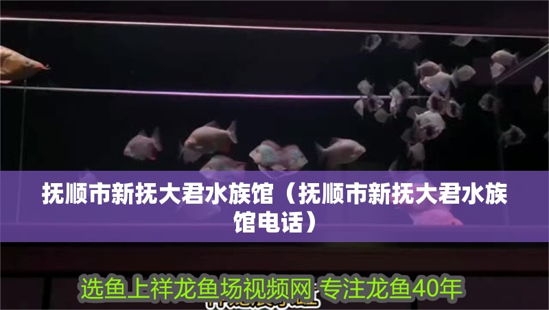 撫順市新撫大君水族館（撫順市新撫大君水族館電話）