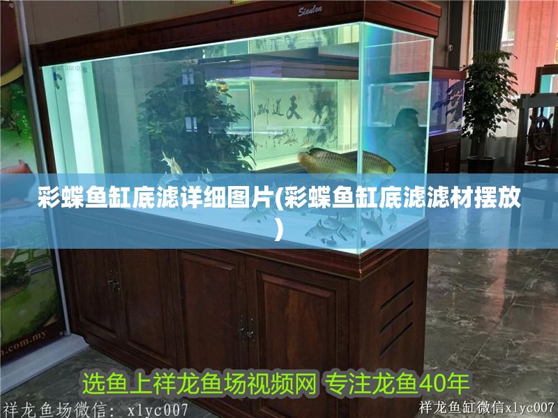 彩蝶魚缸底濾詳細圖片(彩蝶魚缸底濾濾材擺放)
