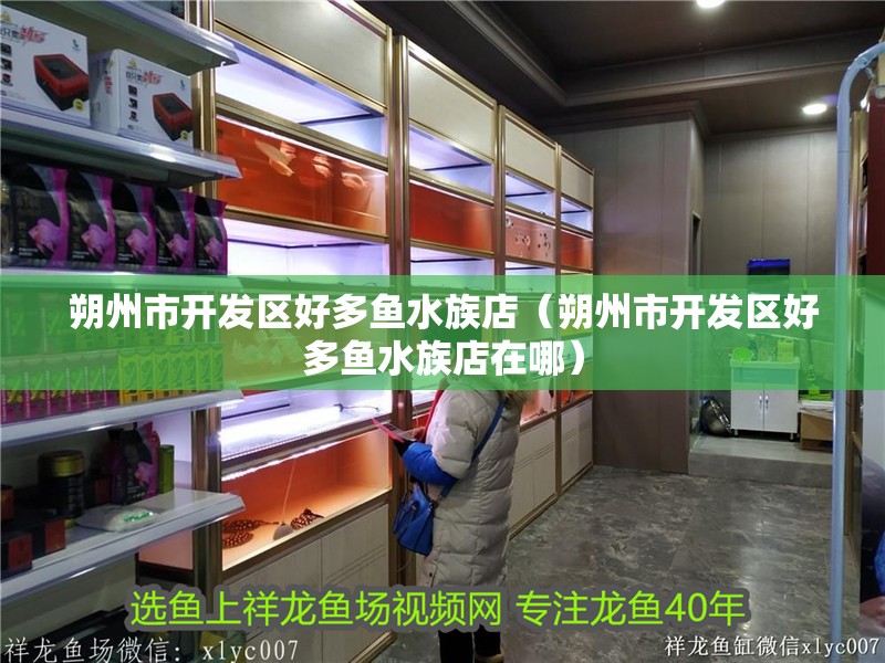 朔州市開發區好多魚水族店（朔州市開發區好多魚水族店在哪）