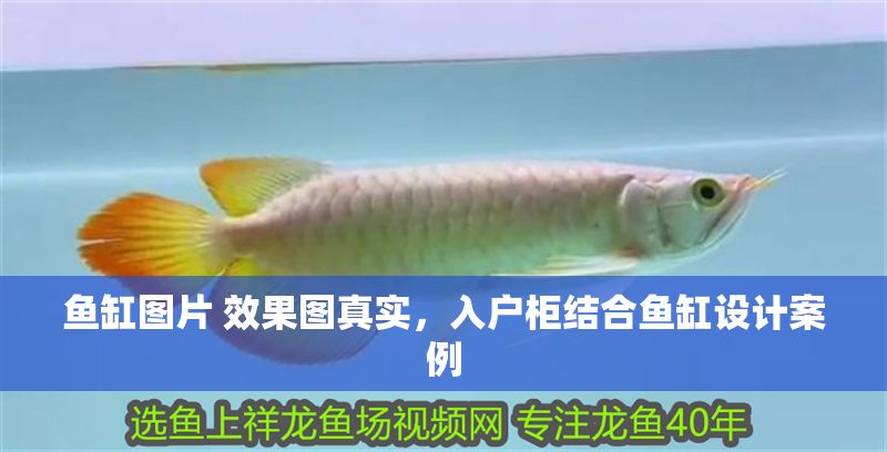 魚缸圖片 效果圖真實,入戶柜結合魚缸設計案例 魚缸百科 第1張 魚缸圖片 效果圖真實,入戶柜結合魚缸設計案例 魚缸圖片 效果圖真實,入戶柜結合魚缸設計案例 魚缸百科 第1張