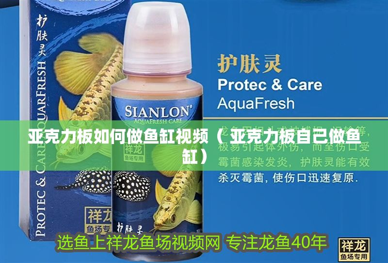 亞克力板如何做魚缸視頻（ 亞克力板自己做魚缸）