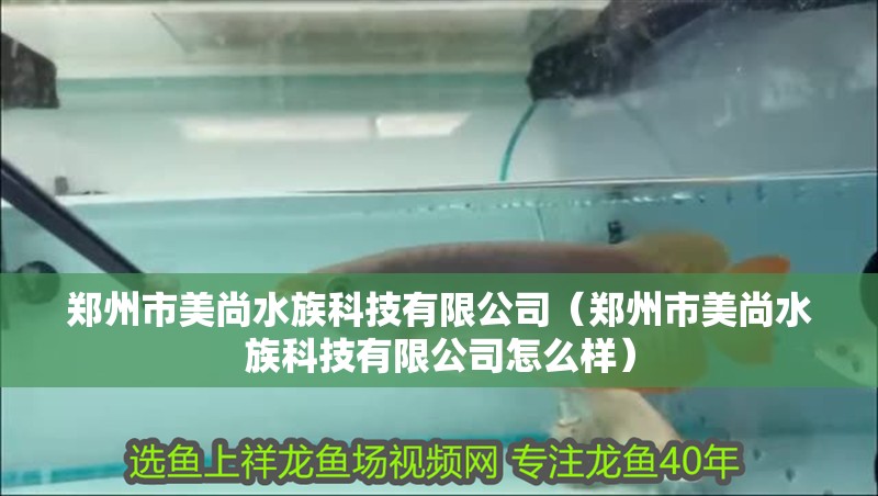 鄭州市美尚水族科技有限公司（鄭州市美尚水族科技有限公司怎么樣）