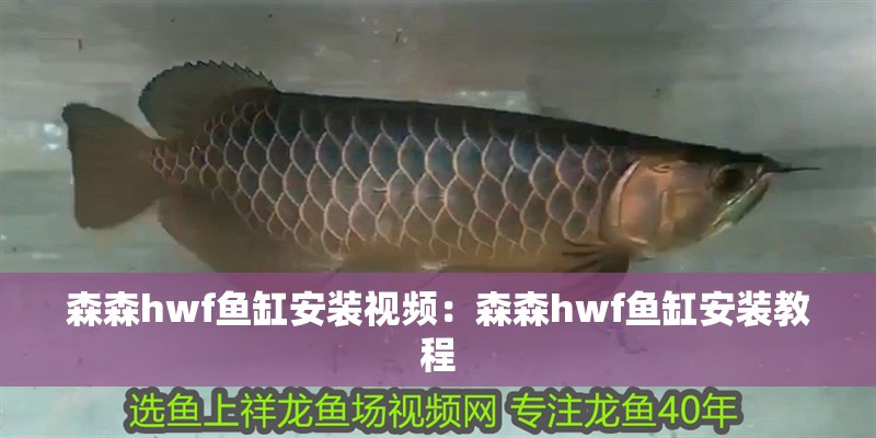 森森h(huán)wf魚缸安裝視頻：森森h(huán)wf魚缸安裝教程
