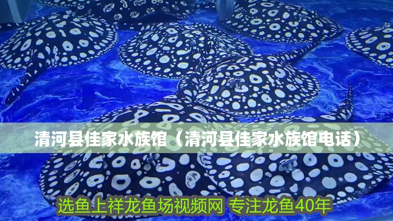 清河縣佳家水族館（清河縣佳家水族館電話(huà)）