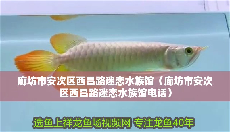 廊坊市安次區(qū)西昌路迷戀水族館（廊坊市安次區(qū)西昌路迷戀水族館電話）