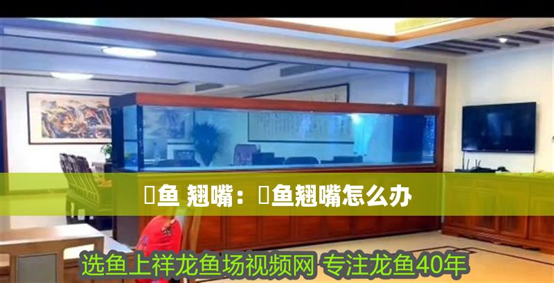 魟魚 翹嘴：魟魚翹嘴怎么辦