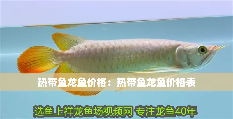 熱帶魚龍魚價格：熱帶魚龍魚價格表
