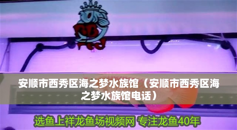 安順市西秀區(qū)海之夢(mèng)水族館（安順市西秀區(qū)海之夢(mèng)水族館電話）