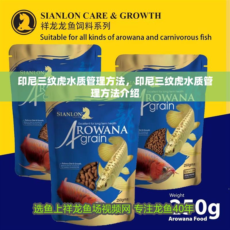 印尼三紋虎水質管理方法，印尼三紋虎水質管理方法介紹