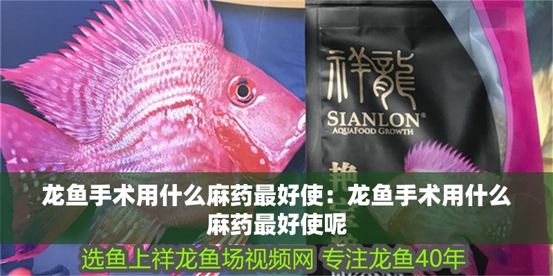 龍魚手術用什么麻藥最好使：龍魚手術用什么麻藥最好使呢