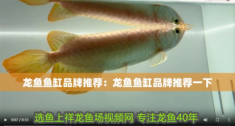 龍魚魚缸品牌推薦：龍魚魚缸品牌推薦一下