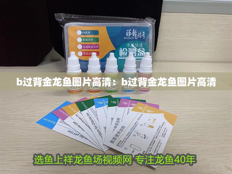 b過背金龍魚圖片高清：b過背金龍魚圖片高清