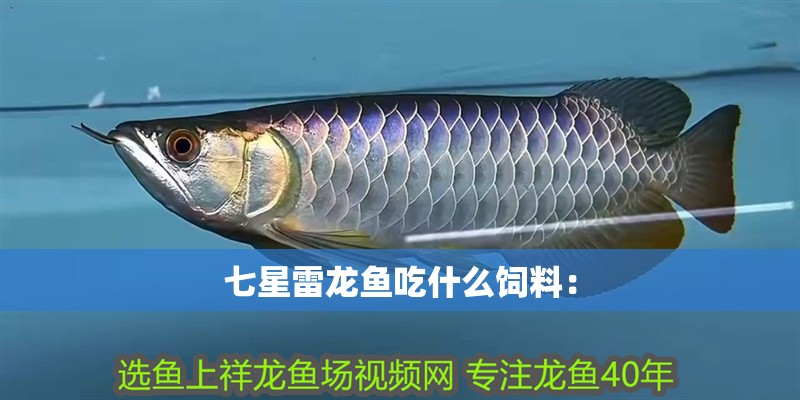 七星雷龍魚吃什么飼料：