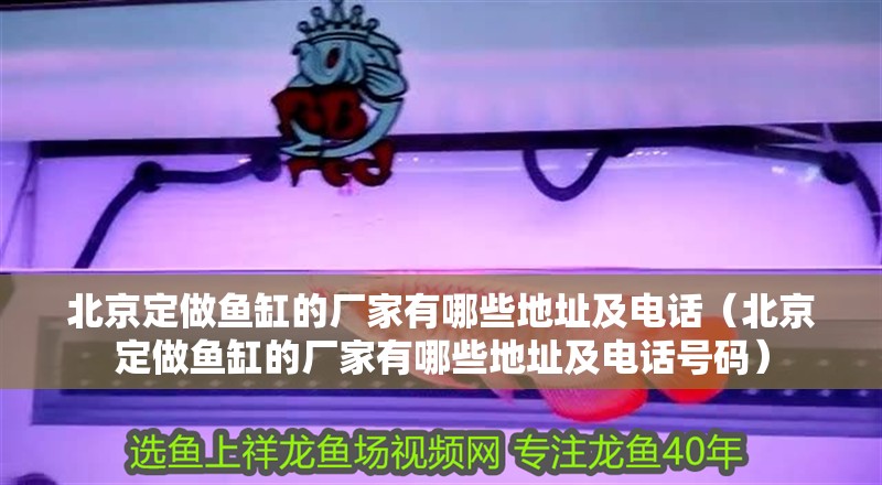 北京定做魚缸的廠家有哪些地址及電話（北京定做魚缸的廠家有哪些地址及電話號碼）