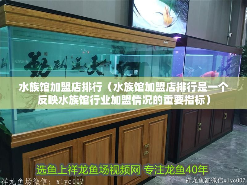 水族館加盟店排行（水族館加盟店排行是一個反映水族館行業加盟情況的重要指標）