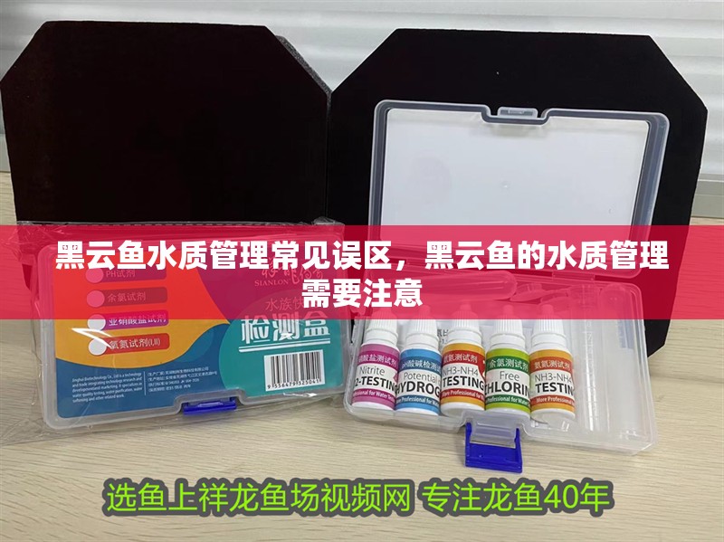 黑云魚水質管理常見誤區，黑云魚的水質管理需要注意