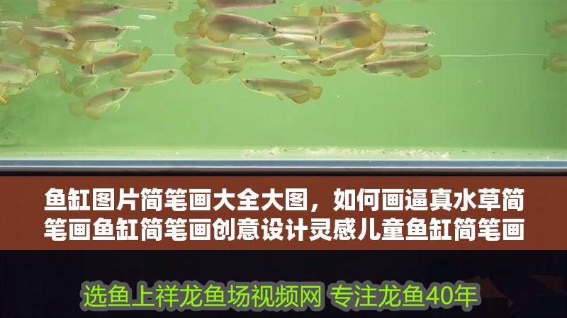魚缸圖片簡筆畫大全大圖，如何畫逼真水草簡筆畫魚缸簡筆畫創意設計靈感兒童魚缸簡筆畫入門指南 魚缸圖片簡筆畫大全大圖，如何畫逼真水草簡筆畫魚缸簡筆畫創意設計靈感兒童魚缸簡筆畫入門指南 魚缸百科 第2張
