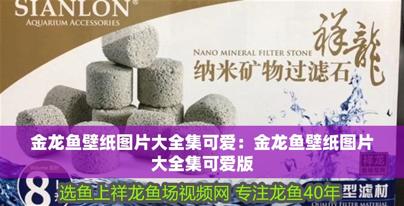 金龍魚壁紙圖片大全集可愛：金龍魚壁紙圖片大全集可愛版