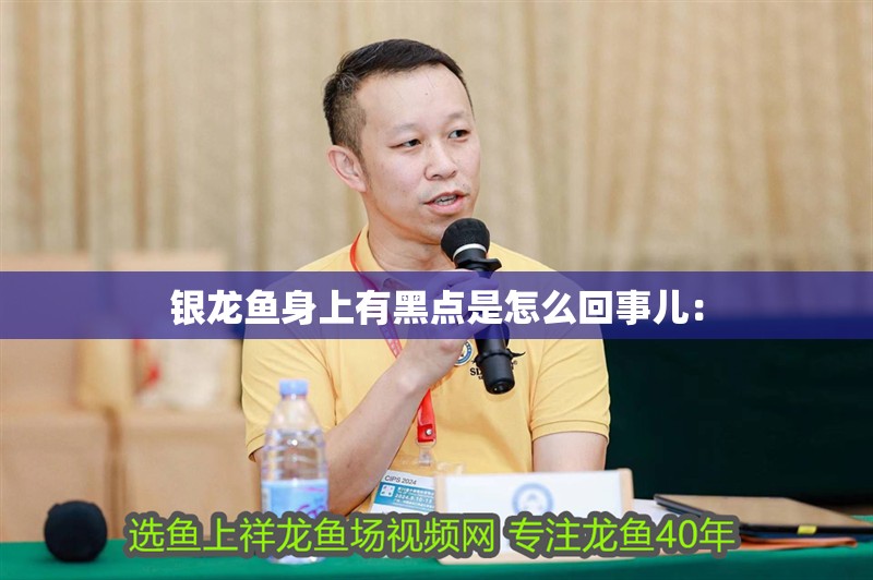 銀龍魚身上有黑點是怎么回事兒: 水族問答 銀龍魚身上有黑點是怎么回事兒: 銀龍魚身上有黑點是怎么回事兒: 水族問答