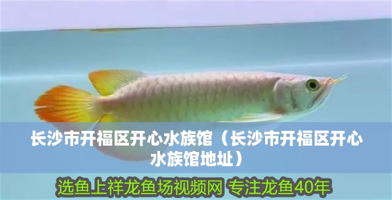 長沙市開福區(qū)開心水族館（長沙市開福區(qū)開心水族館地址）