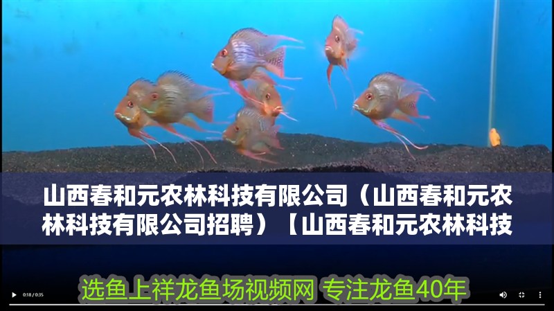 <strong><mark>山西</mark></strong>春和元農林科技有限公司（<strong><mark>山西</mark></strong>春和元農林科技有限公司招聘）【<strong><mark>山西</mark></strong>春和元農林科技有限公司】