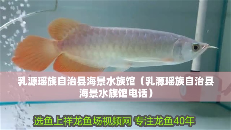 乳源瑤族自治縣海景水族館(乳源瑤族自治縣海景水族館電話) 全國(guó)水族館企業(yè)名錄 第1張 乳源瑤族自治縣海景水族館(乳源瑤族自治縣海景水族館電話) 乳源瑤族自治縣海景水族館(乳源瑤族自治縣海景水族館電話) 全國(guó)水族館企業(yè)名錄 第1張
