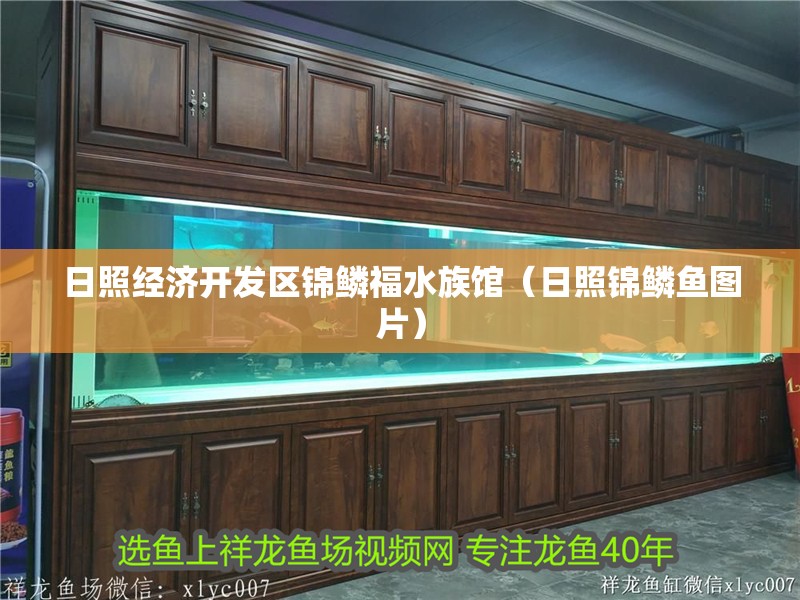 日照經濟開發區錦鱗福水族館（日照錦鱗魚圖片）