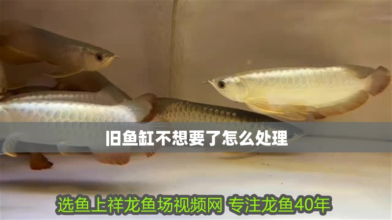 舊魚缸不想要了怎么處理