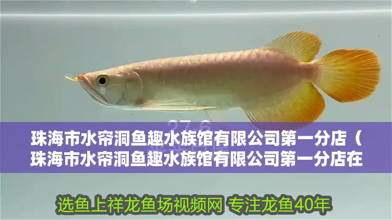 珠海市水簾洞魚趣水族館有限公司第一分店（珠海市水簾洞魚趣水族館有限公司第一分店在哪里）