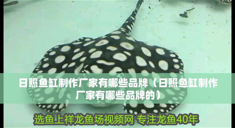 日照魚缸制作廠家有哪些品牌（日照魚缸制作廠家有哪些品牌的）