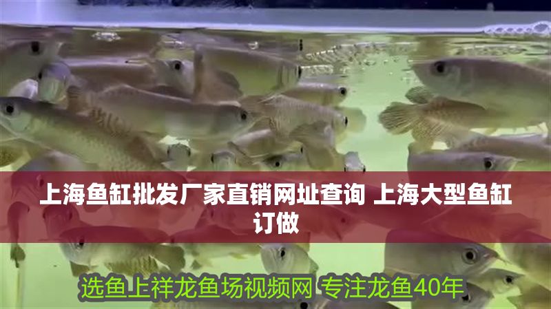 上海魚缸批發廠家直銷網址查詢 上海大型魚缸訂做