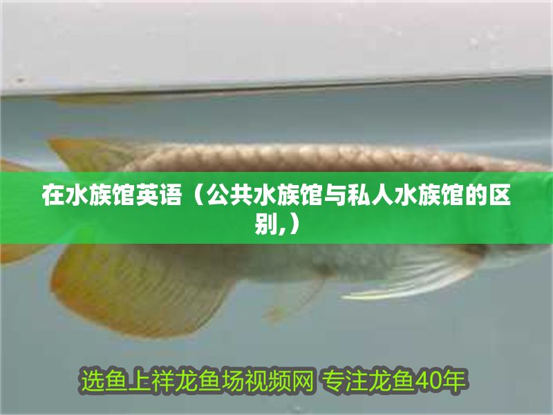 在水族館英語（公共水族館與私人水族館的區別,）