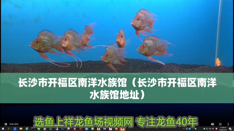 長沙市開福區南洋水族館（長沙市開福區南洋水族館地址）
