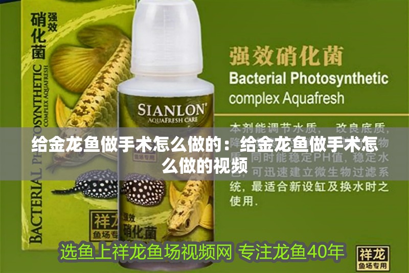 給金龍魚做手術怎么做的：給金龍魚做手術怎么做的視頻