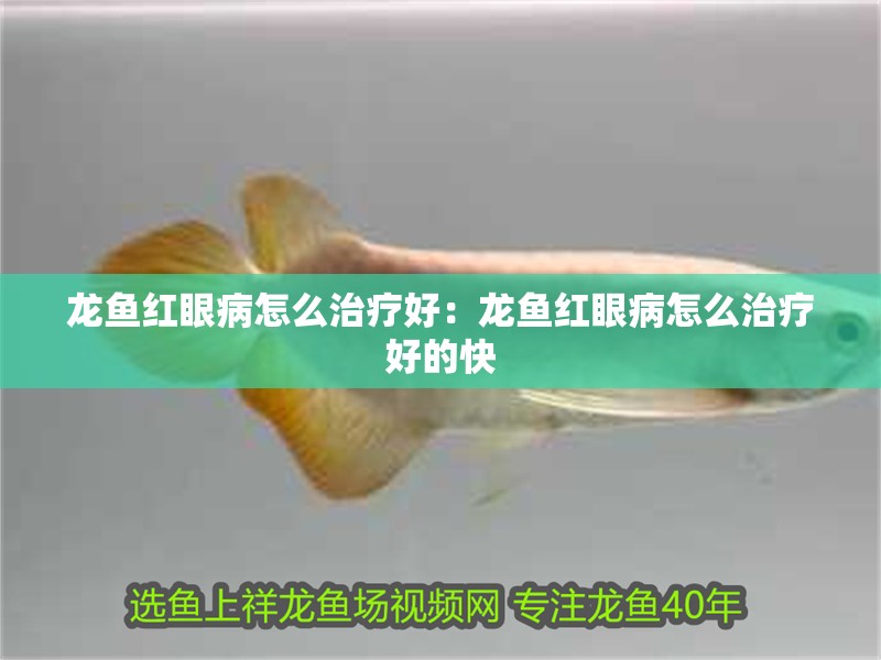 龍魚紅眼病怎么治療好：龍魚紅眼病怎么治療好的快