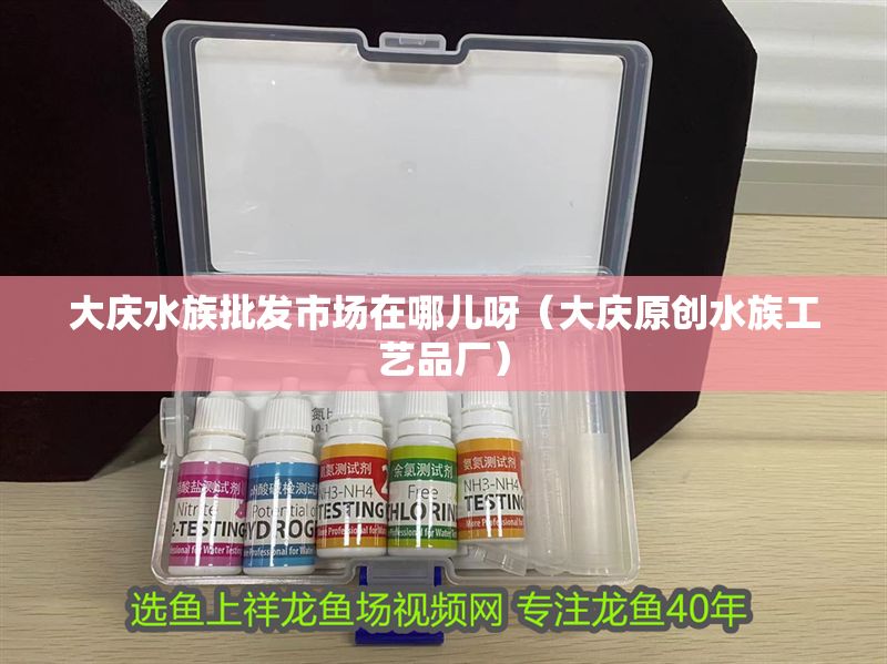 大慶水族批發市場在哪兒呀（大慶原創水族工藝品廠）