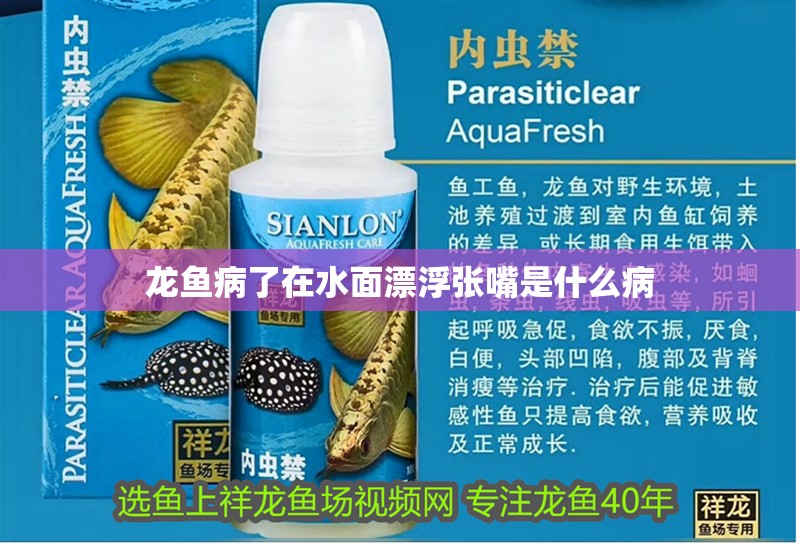 龍魚病了在水面漂浮張嘴是什么病