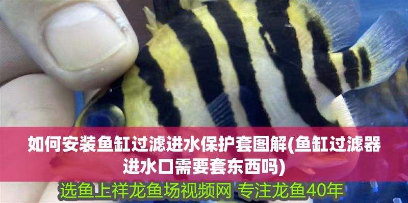 如何安裝魚缸過濾進水保護套圖解(魚缸過濾器進水口需要套東西嗎)